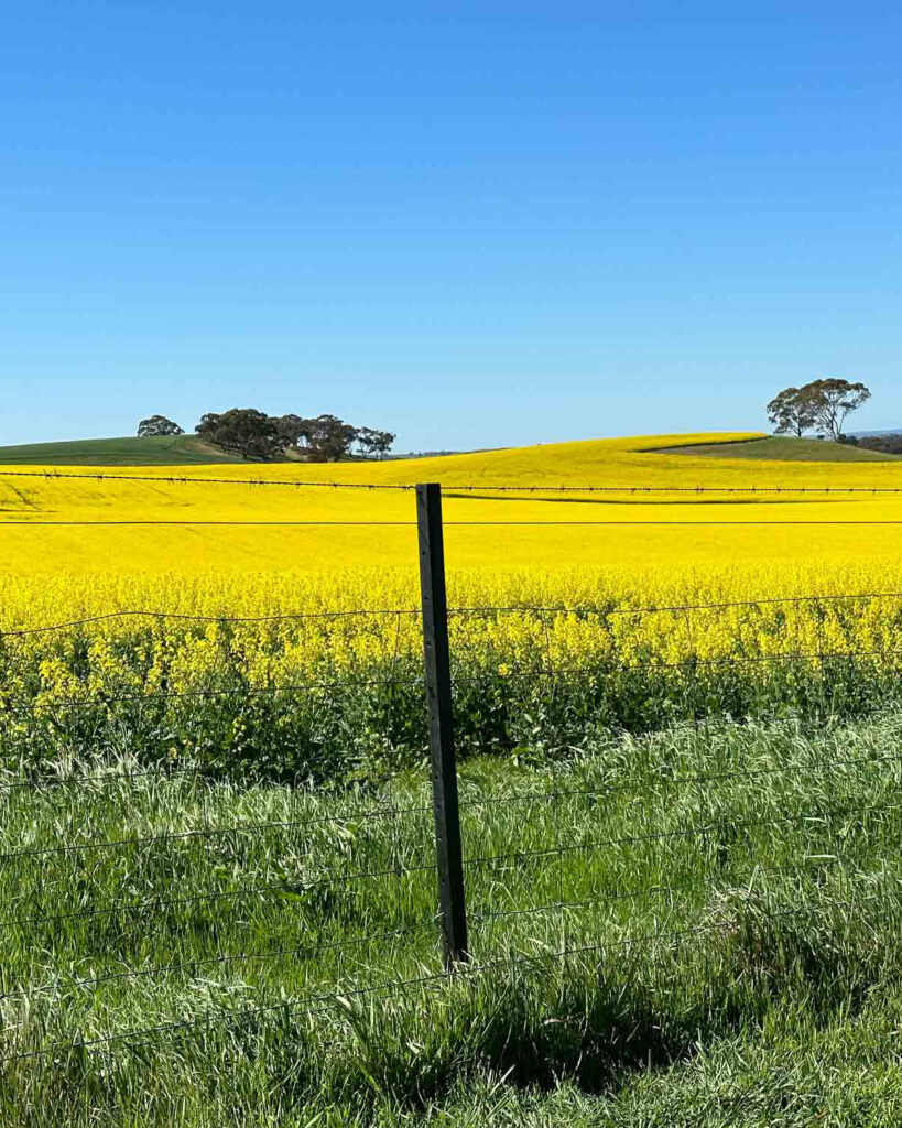 EnduraPost Square Dropper Kapunda SA