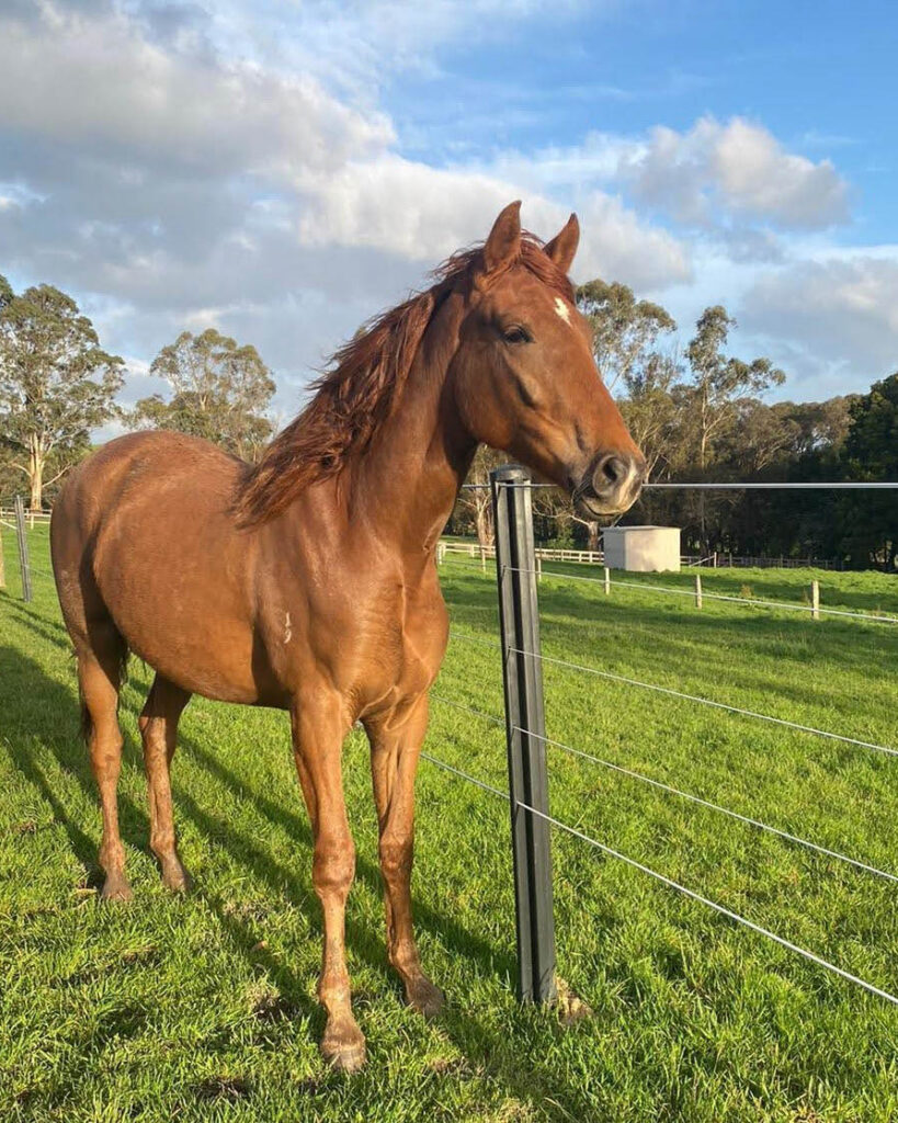 crop-IMG-20211005-WA0010