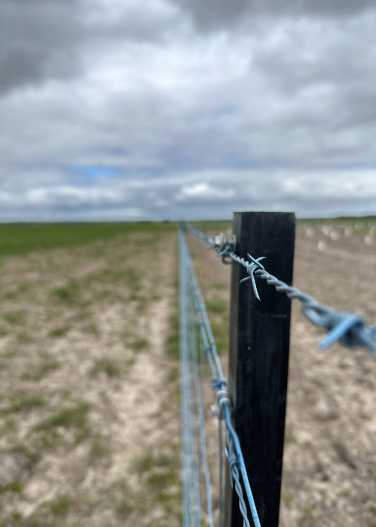 EnduraPost Square Picket_5