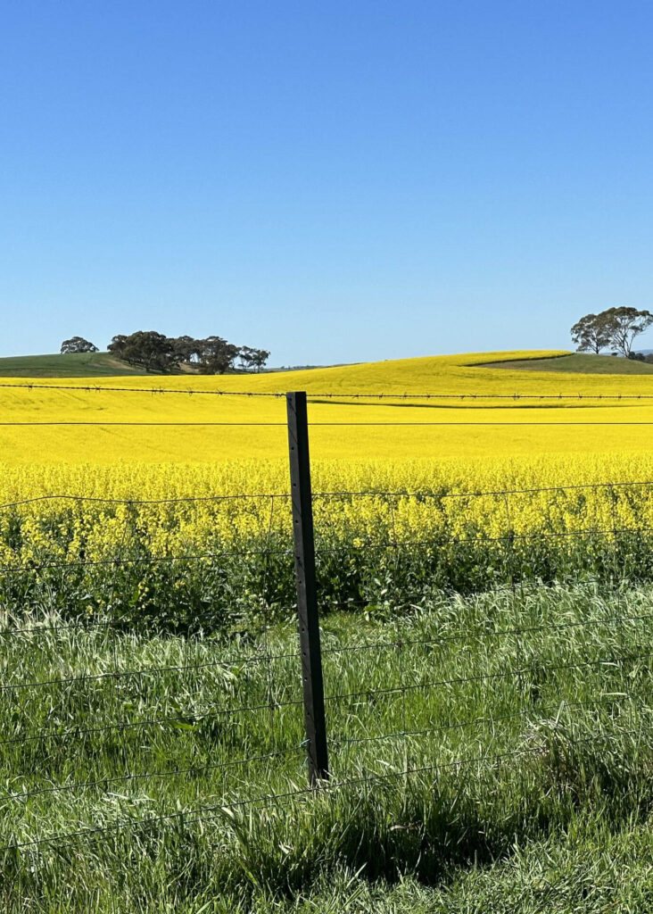 EnduraPost Square Picket_8