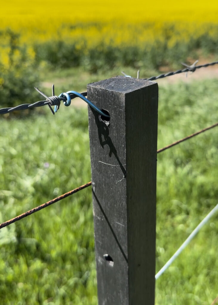 EnduraPost Square Picket_9